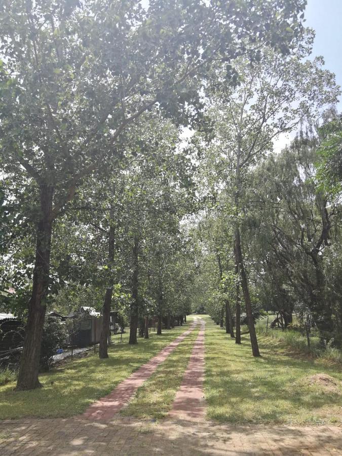 ميدراند Weeping Willow المظهر الخارجي الصورة